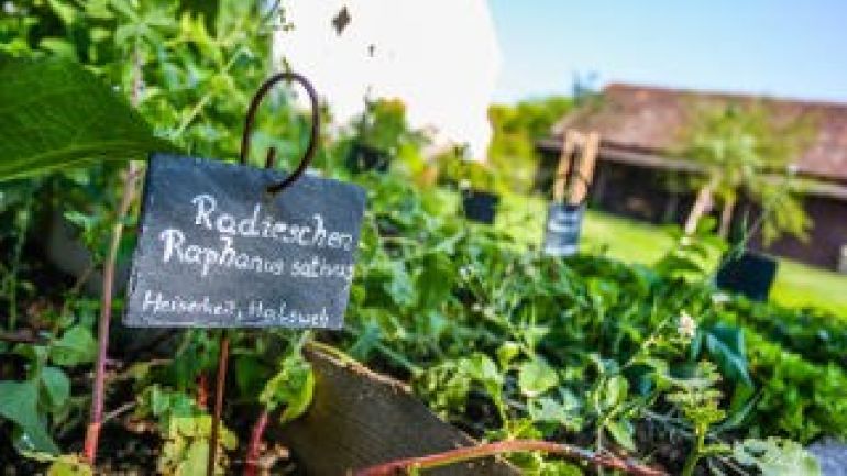 Bauerngarten mit Kräuterbeet