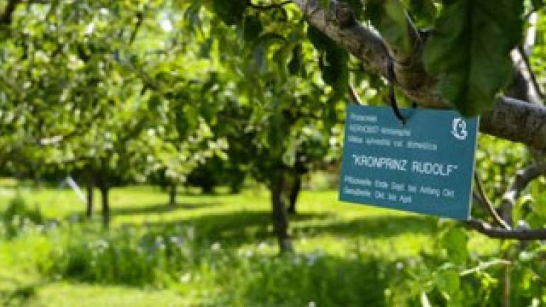 Schild, das an einem Baum hängt