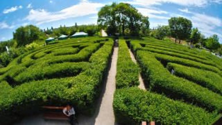 Labyrinth aus Hecken