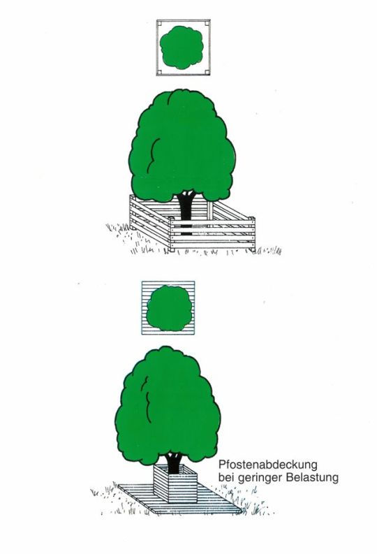 Grafische Darstellung Stammschutz