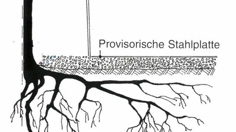 Grafische Darstellung der Schutzmaßnahmen beim Befahren des Wurzelbereichs