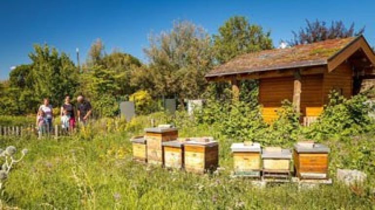 Holzhaus in einer Wiese, daneben eine Gruppe Menschen