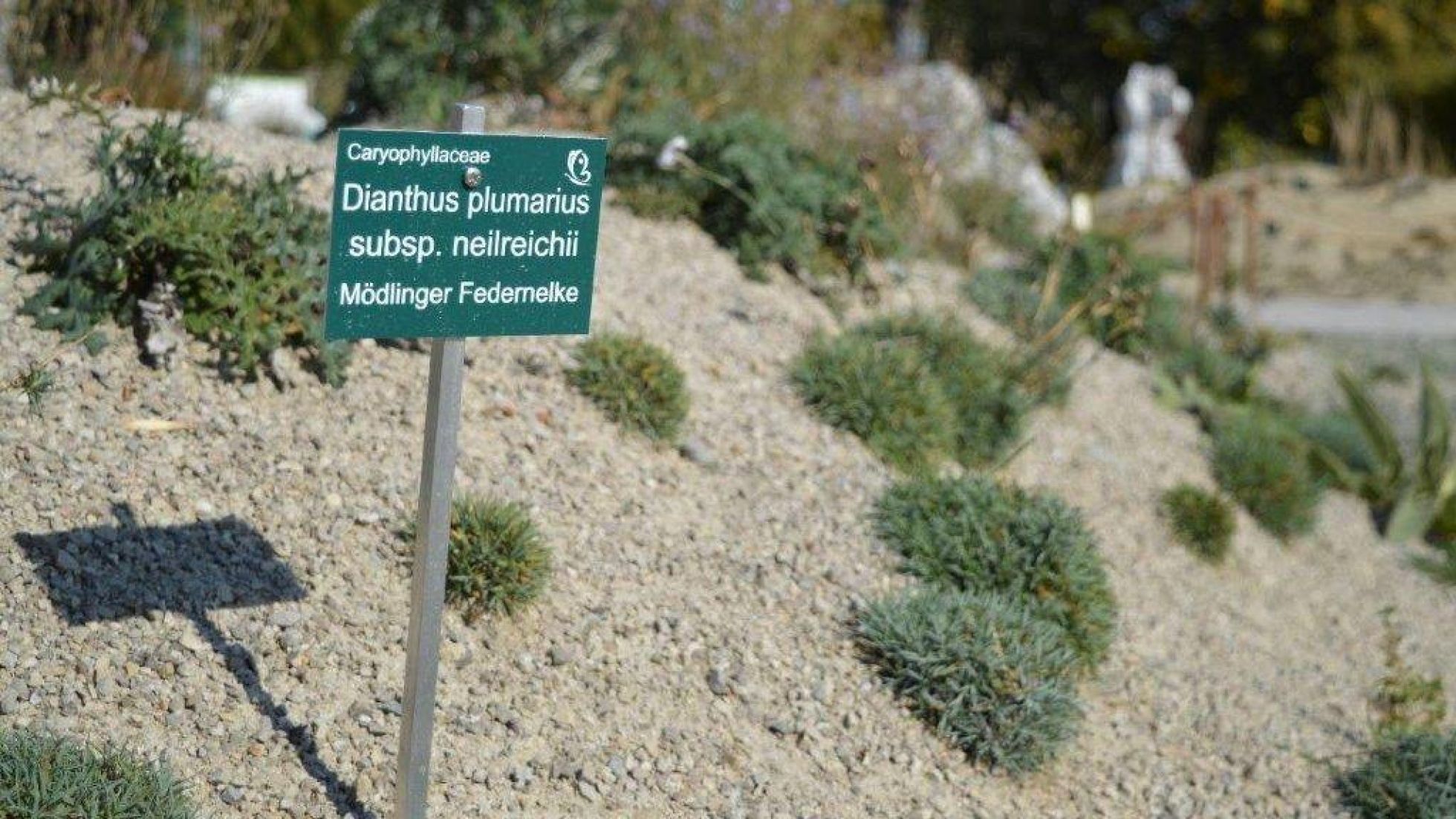copyright: Wiener Stadtgärten Steppenlandschaft mit Schild im Vordergrund