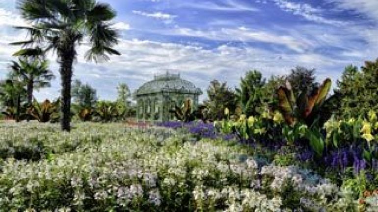 Gartenanlage mit Palmen und Blumenbeeten