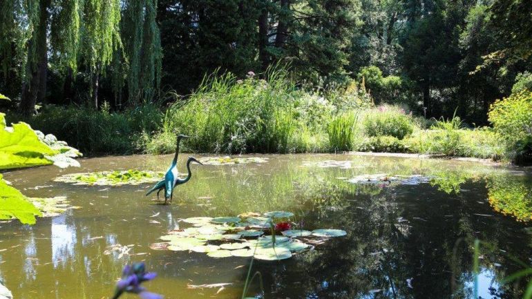 Teich in einer Gartenanlage