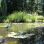 Teich in einer Gartenanlage