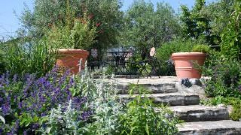 Stein Stiege mit Topfpflanzen