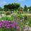 copyright: Wiener Stadtgärten Vielfältige Blumenbeete mit bunten Blüten, im Hintergrund Sitzgelegenheiten