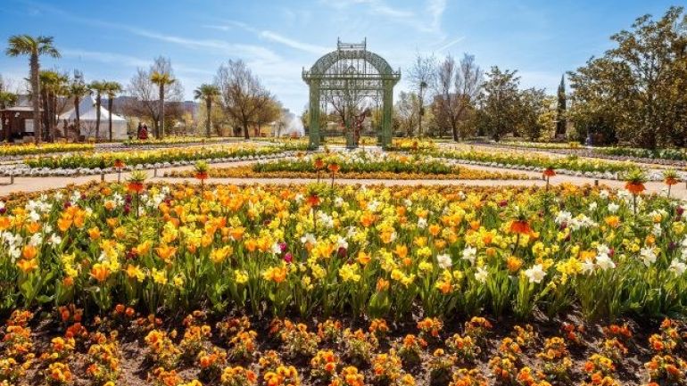 Pavillon in Blumenmeer der Blumengärten Hirschstetten