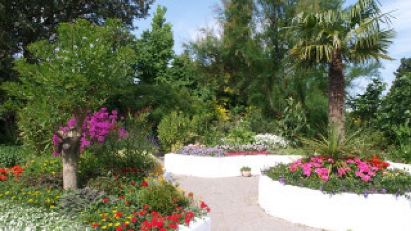 Blumenbeete und Palmen