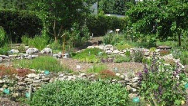 Kräuter- und Gemüsebeete in einem Garten