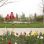 copyright: Ulrike Wieser Blumenbeet mit bunten Blumen, im Hintergrund ein Spielplatz