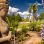 Statue, dahinter Palmen