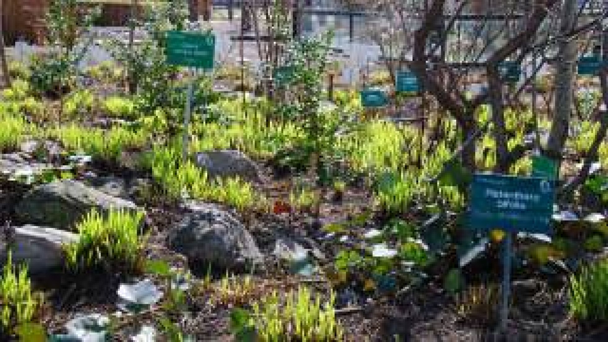 Pflanzenbeet mit einem Schild