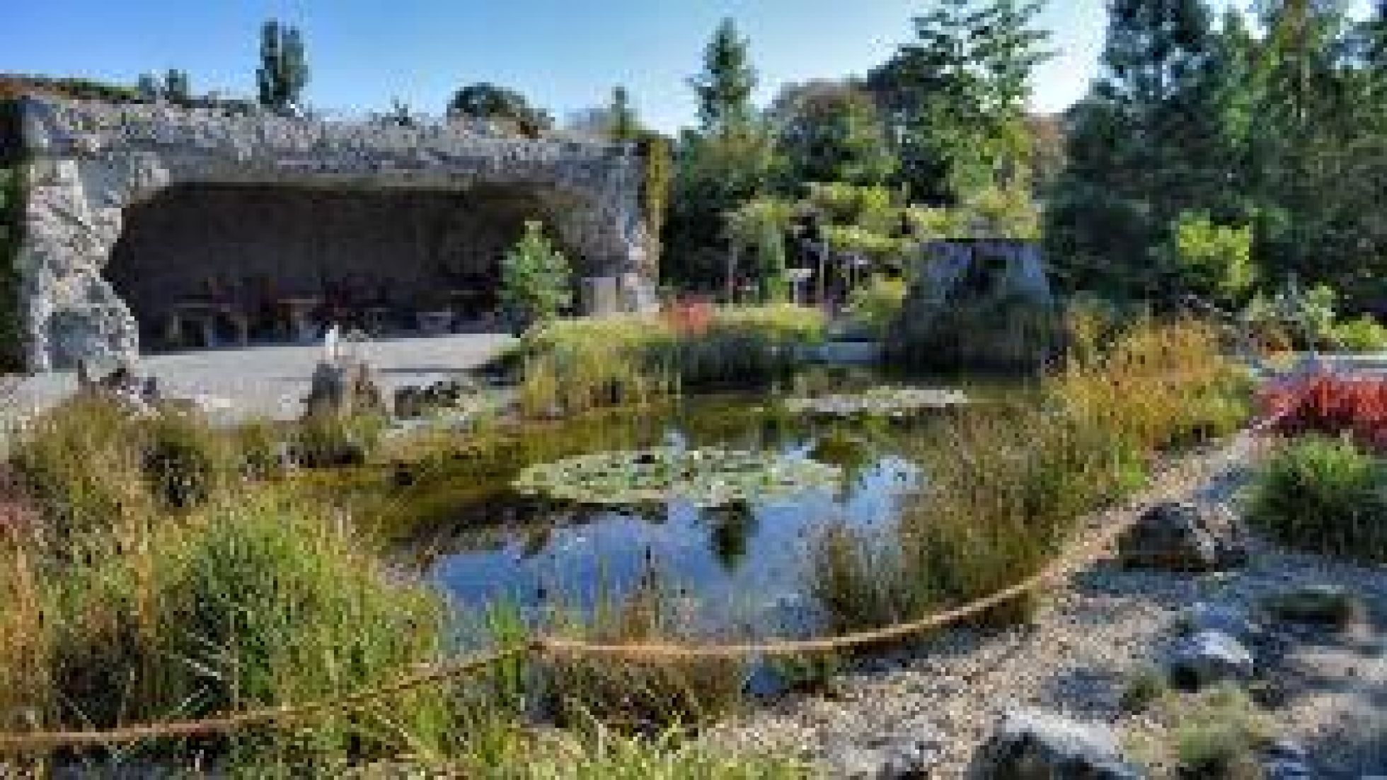 Teich im Vordergrund. Im Hintergrund eine Höhle inmitten Urzeitvegetation