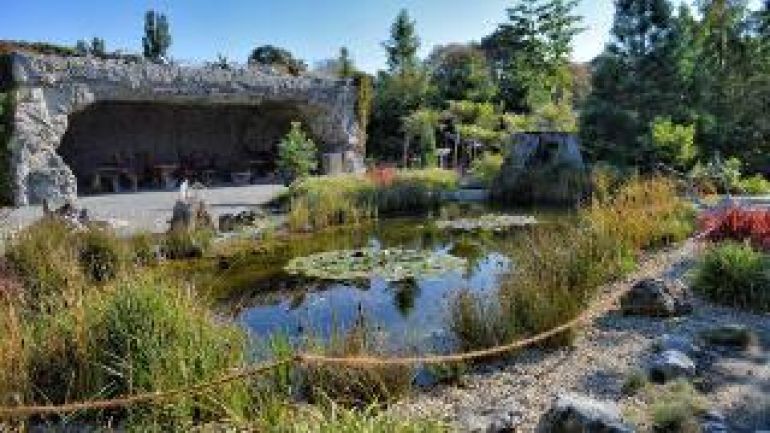 Teich im Vordergrund. Im Hintergrund eine Höhle inmitten Urzeitvegetation