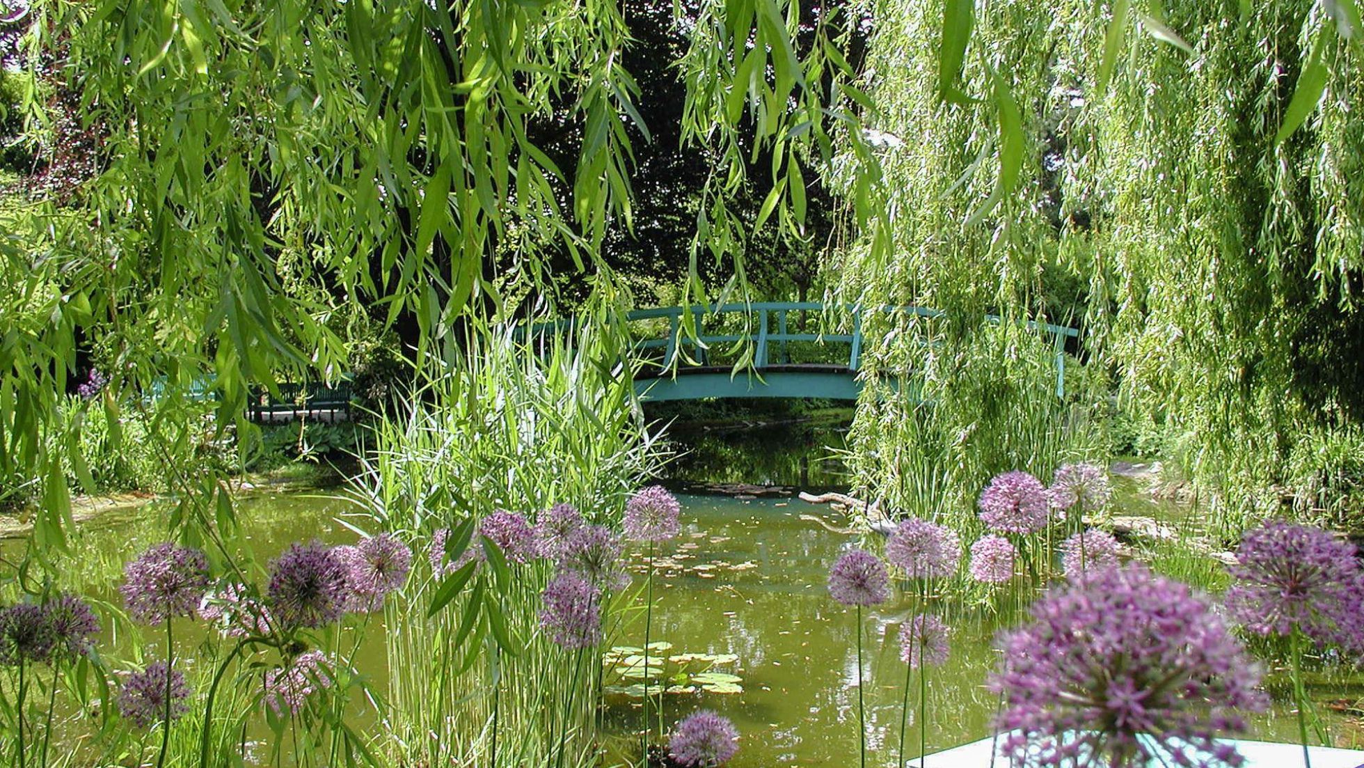 copyright: Wiener Stadtgärten Brücke über Teich in Gartenanlage