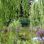 copyright: Wiener Stadtgärten Brücke über Teich in Gartenanlage