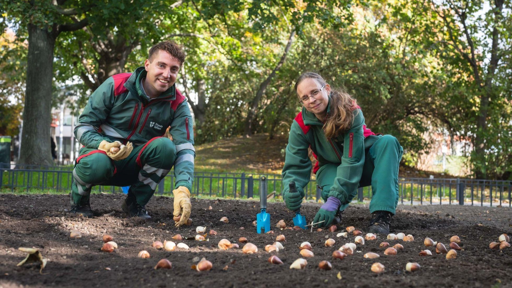 Ein Mitarbeiter und eine Mitarbeiterin in grüner Arbeitskleidung pflanzen in einem Park Blumenzwiebel in die Erde.