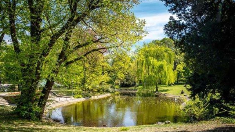 Pond in a park