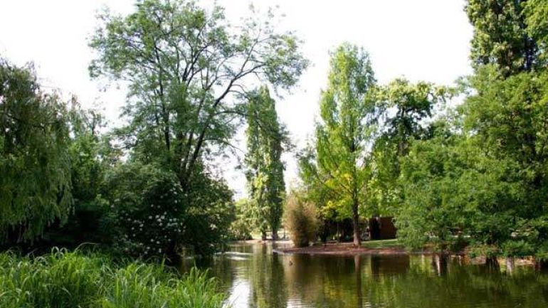 Pond in a park