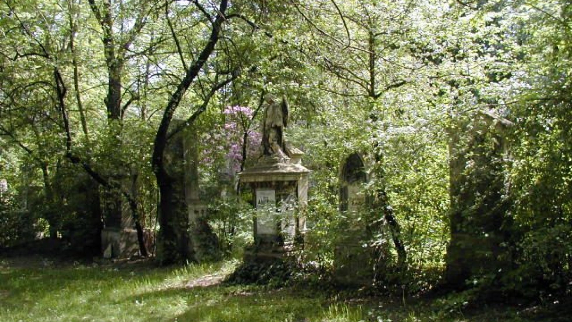 A grave at the cemetery