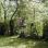 copyright: MA 42 A grave at the cemetery