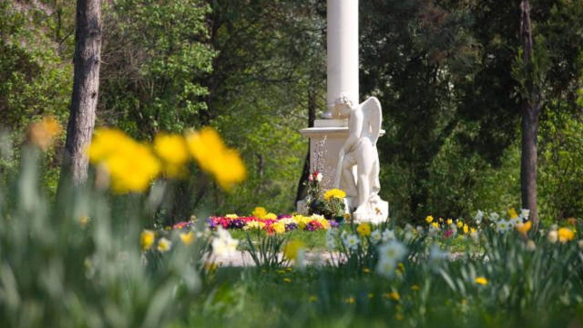 Mozart's grave decorated with flowers