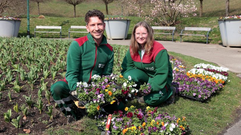 copyright: Stadt Wien/Martin Votava 2 Mitarbeitende der Wiener Stadtgärten präsentieren eine Auswahl an Frühlingsblumen.