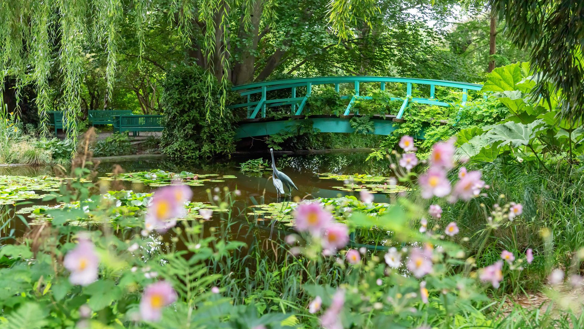 Brücke über einen Teich in einem Garten, im Vordergrund Blüten