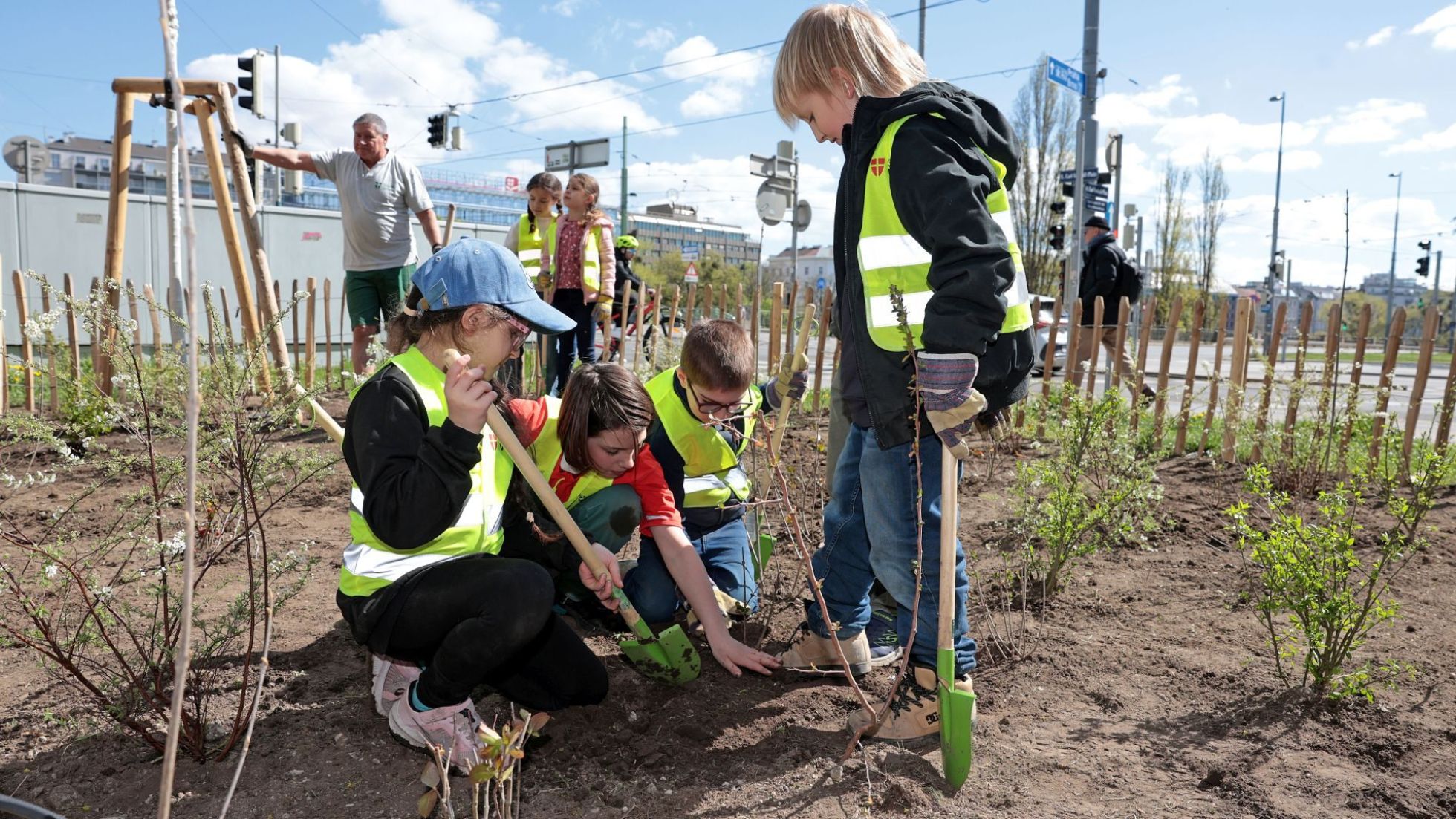 4 Schülerinnen und Schüler pflanzen junge Strauchpflanzen in einem Beet.