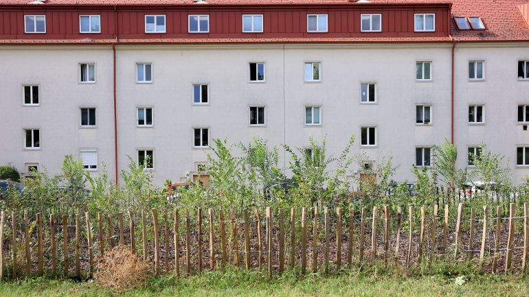 copyright: Stadt Wien/Martin Votava Durch Holzzaun abgegrenzter Bereich mit jungen Bäumen, dahinter ein Wohngebäude.