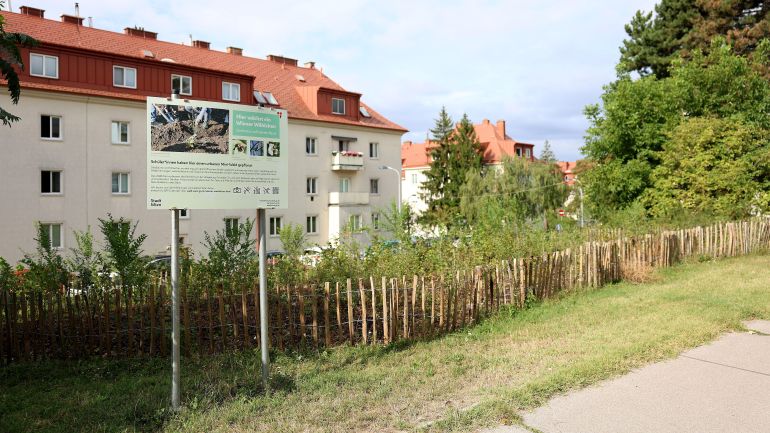 copyright: Stadt Wien/Martin Votava Durch Zaun abgegrenzter Bereich mit jungen Bäumen, dahinter ein Wohngebäude.