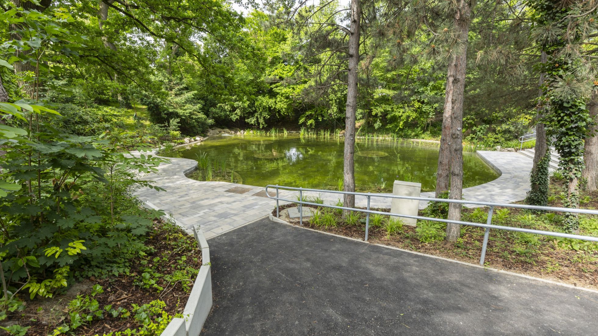 Weg in einem Park, der zu einem Teich führt
