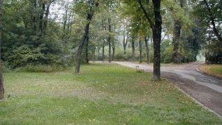 copyright: MA 42 eine Weggabelung, Sträucher, Bäume und Wiese