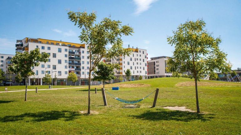 Hängematte zwischen Bäumen, in Hintergrund moderne Wohnbauten