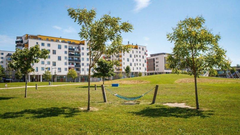 Hängematte zwischen Bäumen, in Hintergrund moderne Wohnbauten