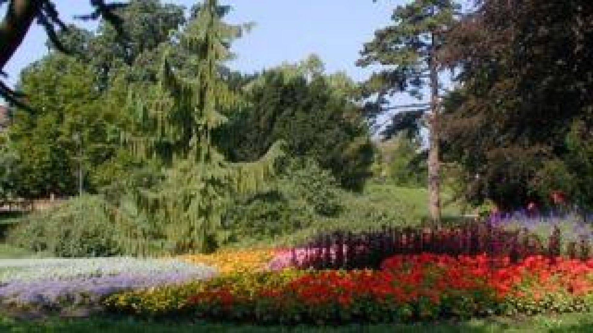 Beet mit blühenden Sommerblumen, dahinter Bäume