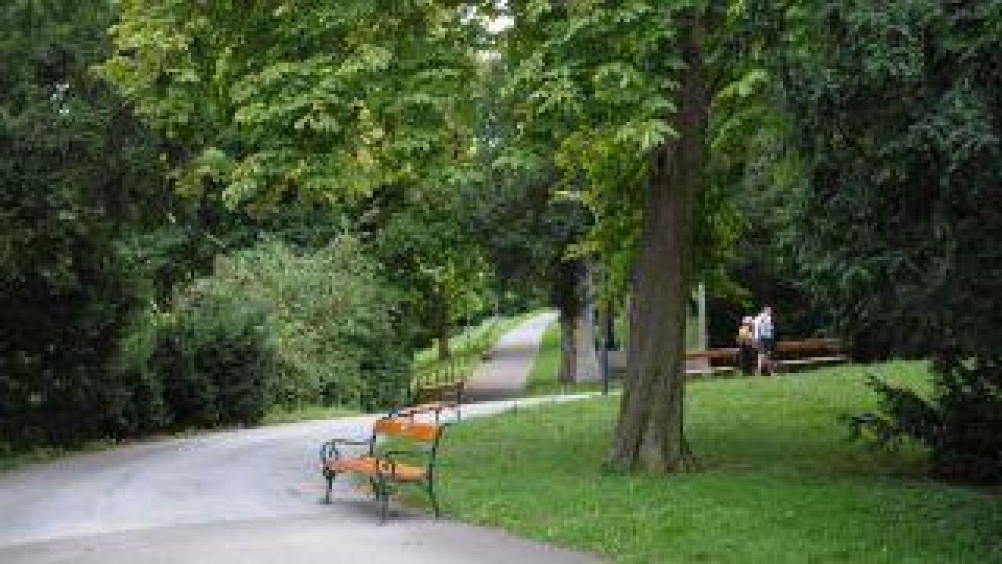 copyright: MA 42 Sitzbank in einem Park