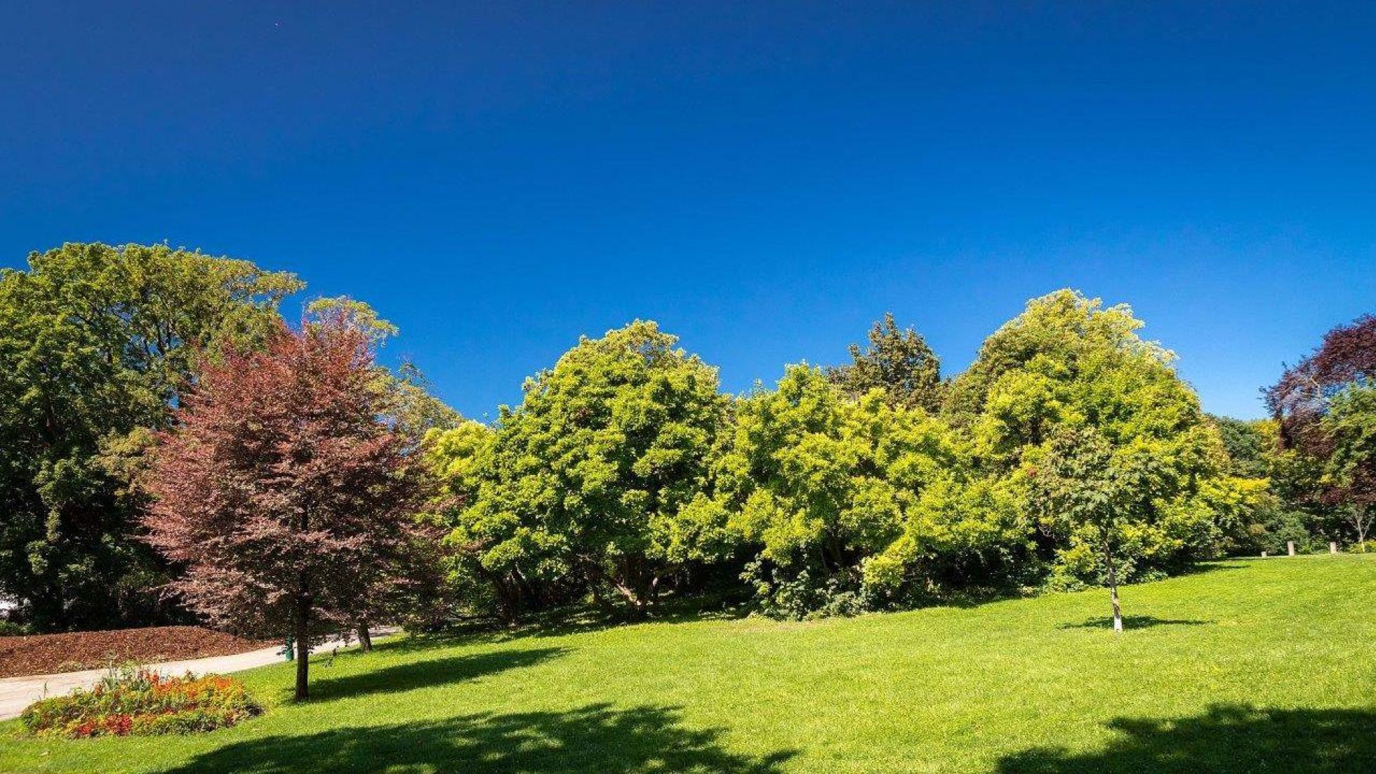 copyright: Wiener Stadtgärten/Houdek Bäume und Wiese in einem Park