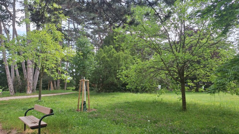 Bäume in einem Park mit Sitzbank