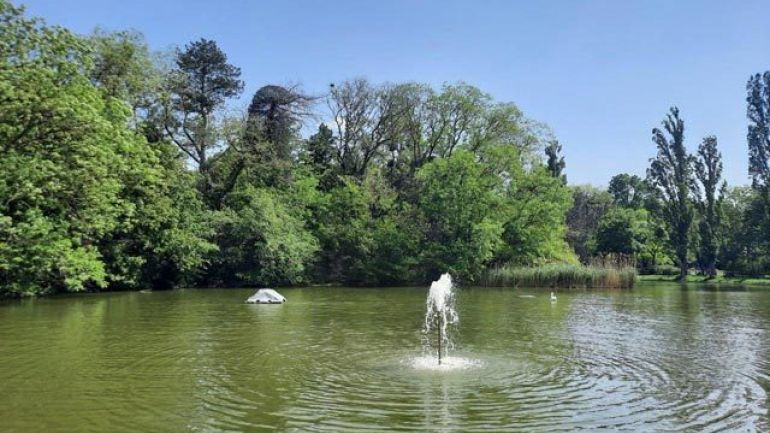 Teich mit einer Wasserfontäne in der Mitte