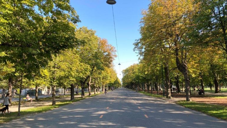 Hauptallee im Wiener Prater