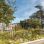 copyright: Wiener Stadtgärten/Houdek Park mit Gebäuden im Hintergrund