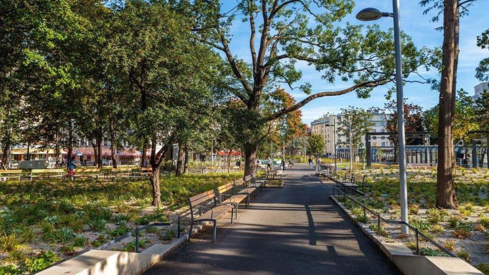 copyright: Wiener Stadtgärten/Houdek Park mit Sitzbänken und Bäumen