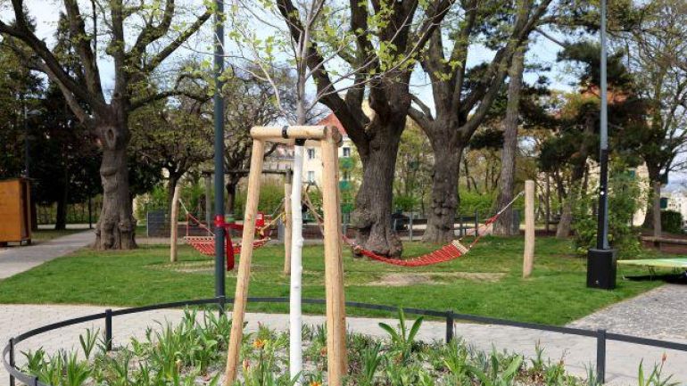 copyright: Stadt Wien/Martin Votava Junger Baum im Blumenbeet, dahinter Hängematten und große Bäume.