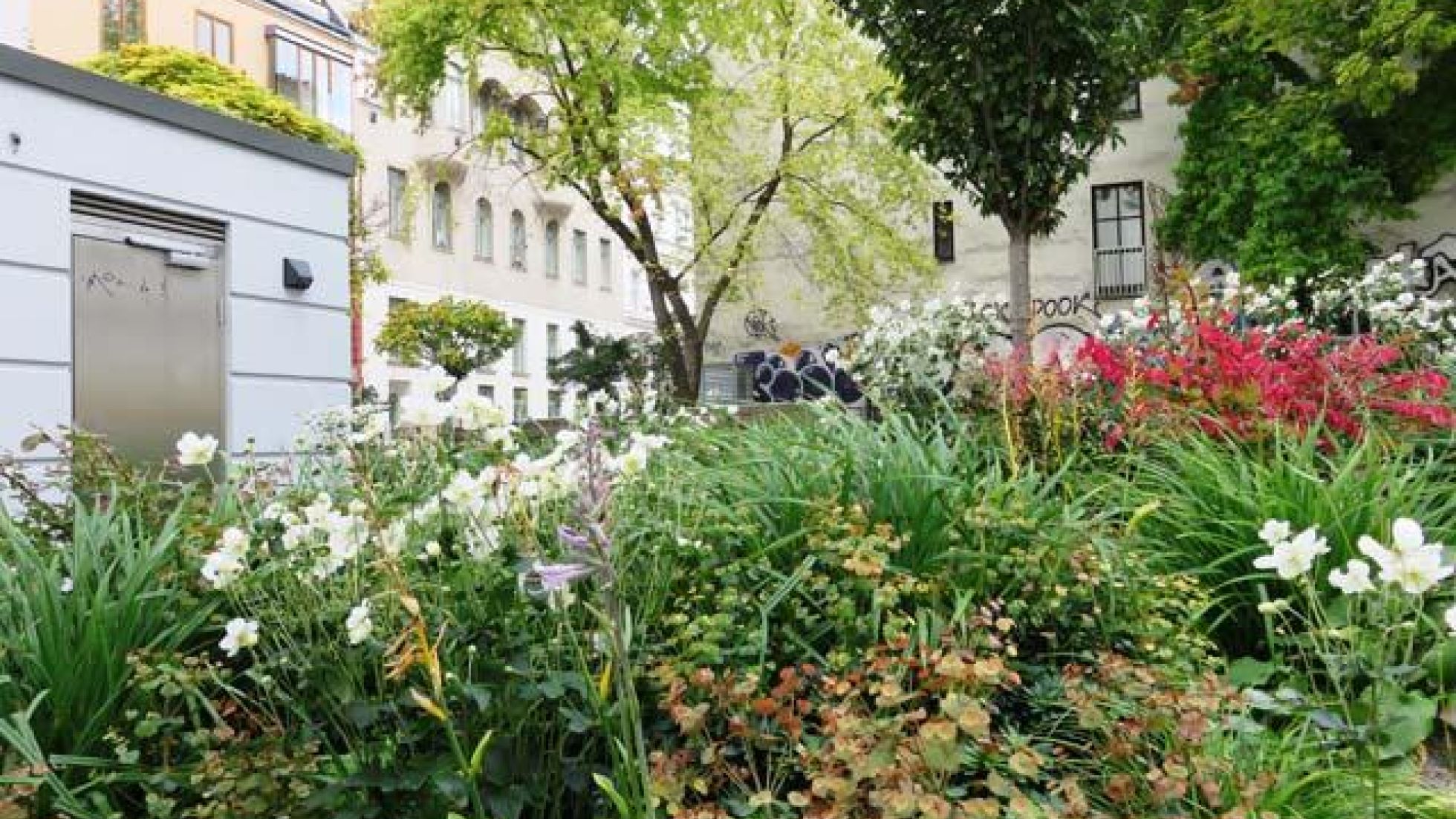 Blumenbeet, dahinter Bäume und ein Gebäude