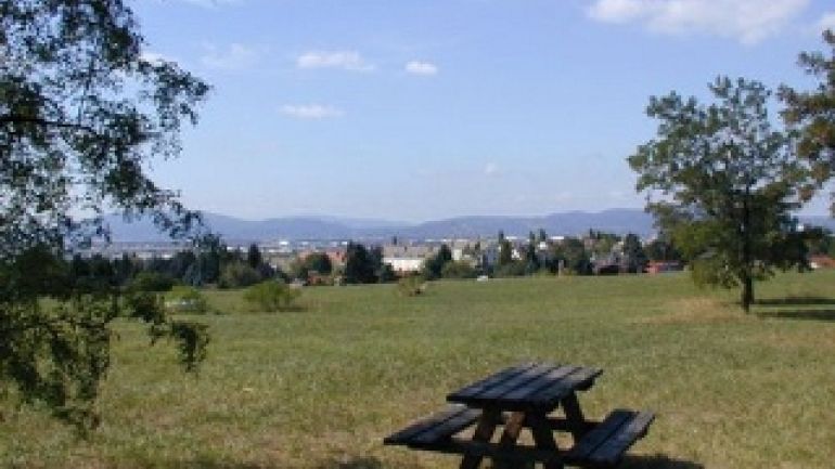 eine Tisch-Bank-Kombination auf einer Wiese, Gebäude im Hintergrund