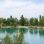 copyright: Wiener Stadtgärten/Matern Blick über einen Teich