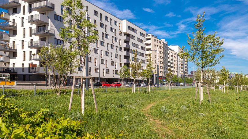 Park mit jungen Bäumen, im Hintergrund neue Gebäude